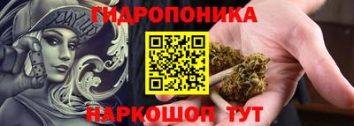 apvp Тверь