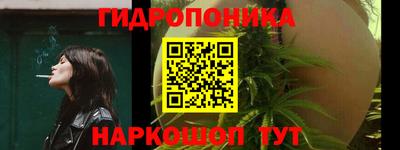apvp Тверь