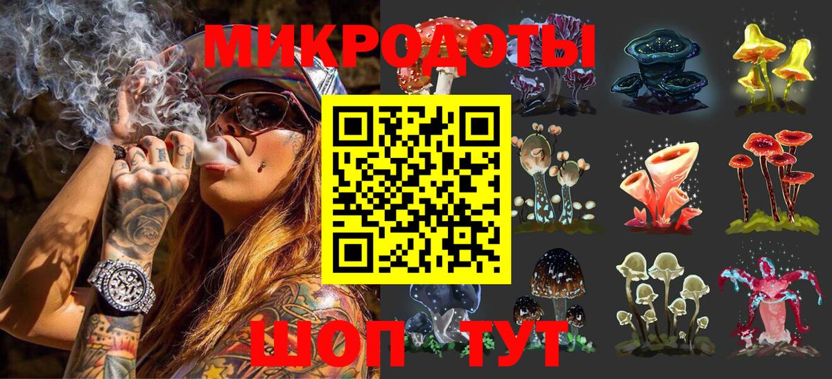 Псилоцибиновые грибы прущие грибы Нальчик