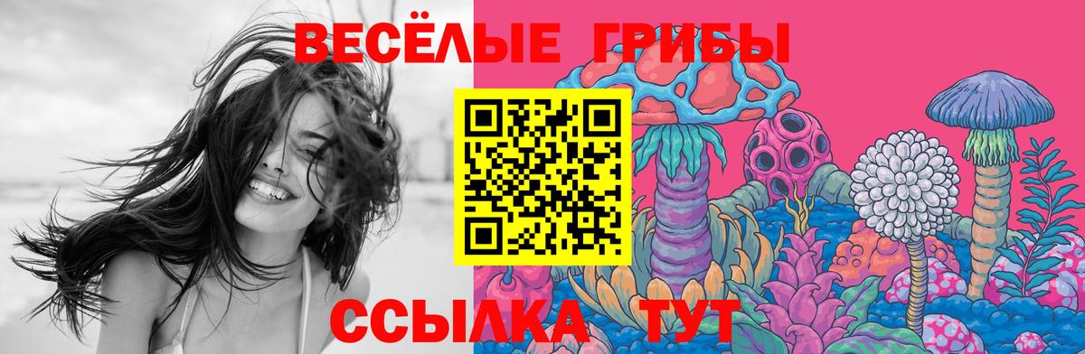 Псилоцибиновые грибы GOLDEN TEACHER  цена наркотик  Нальчик  Вход с VPN 